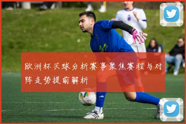 欧洲杯买球分析赛事聚焦赛程与对阵走势提前解析